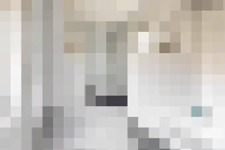 Meeuwenlaan 4 Woerden thumbnail 23