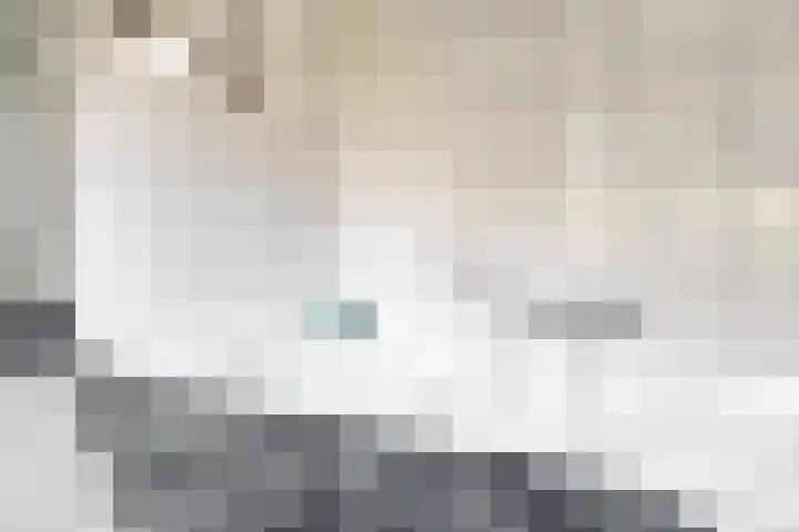 Meeuwenlaan 4 Woerden thumbnail 24