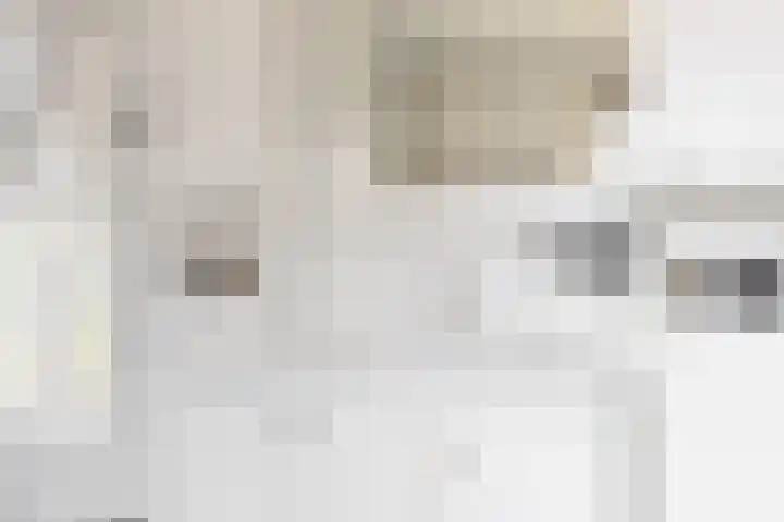 Meeuwenlaan 4 Woerden thumbnail 26
