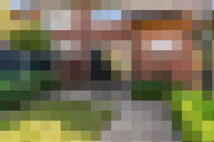 Meeuwenlaan 4 Woerden thumbnail 31