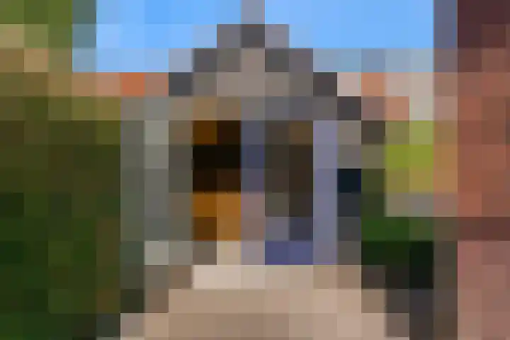 Meeuwenlaan 4 Woerden thumbnail 34