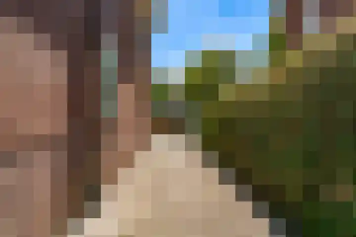 Meeuwenlaan 4 Woerden thumbnail 36