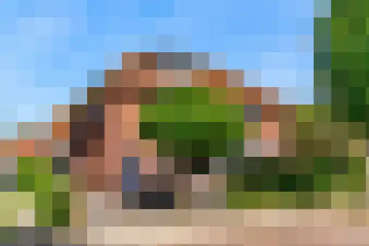 Meeuwenlaan 4 Woerden thumbnail 37