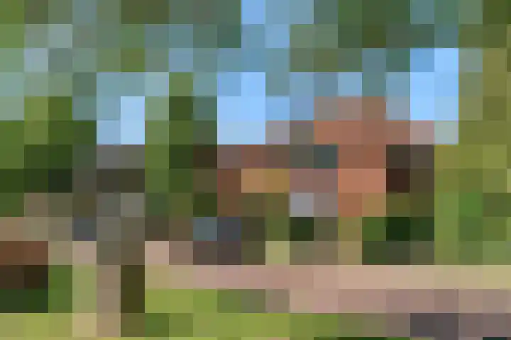 Meeuwenlaan 4 Woerden thumbnail 38