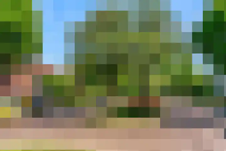 Meeuwenlaan 4 Woerden thumbnail 39