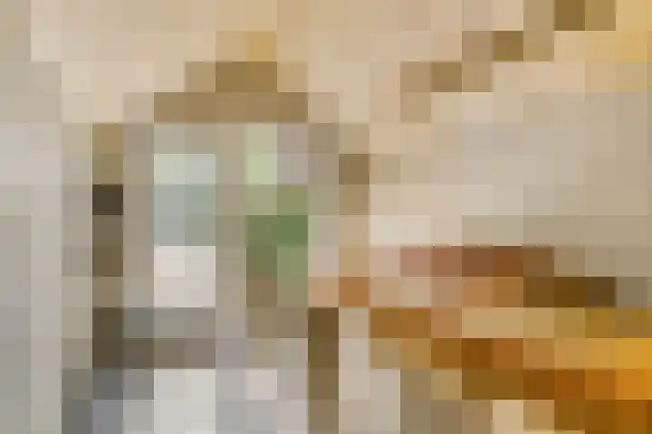 Meeuwenlaan 4 Woerden thumbnail 4