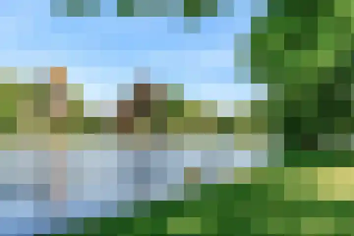 Meeuwenlaan 4 Woerden thumbnail 41