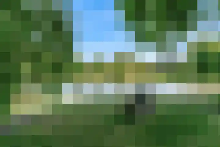Meeuwenlaan 4 Woerden thumbnail 43