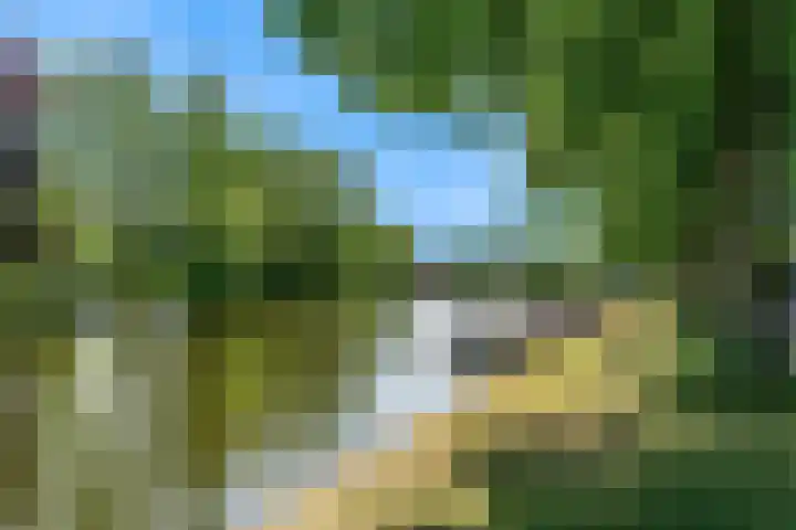 Meeuwenlaan 4 Woerden thumbnail 44