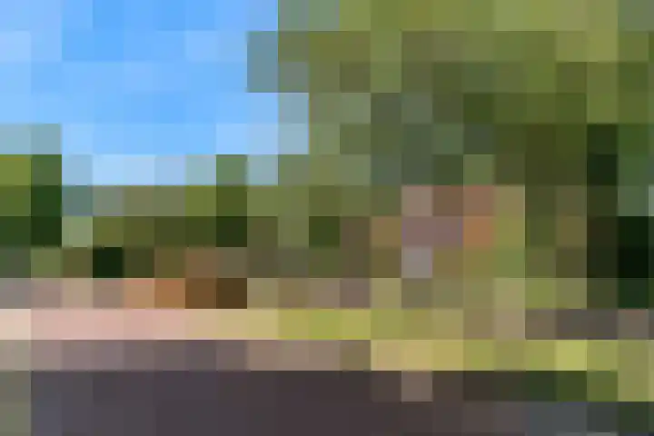 Meeuwenlaan 4 Woerden thumbnail 45