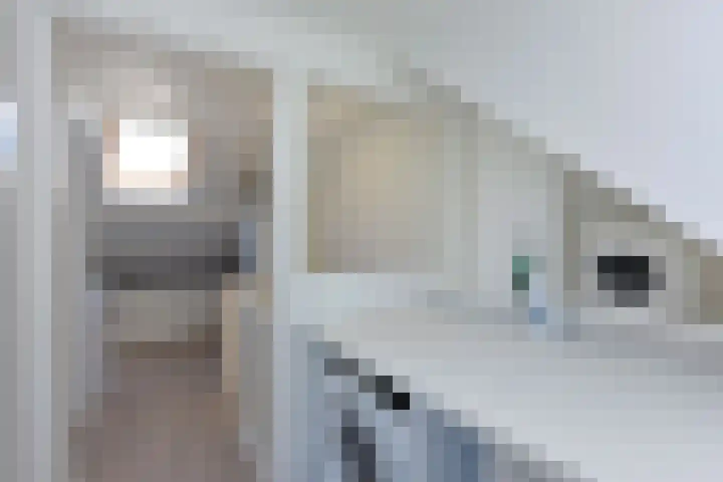 Meeuwenlaan 40 Nieuwkoop thumbnail 23