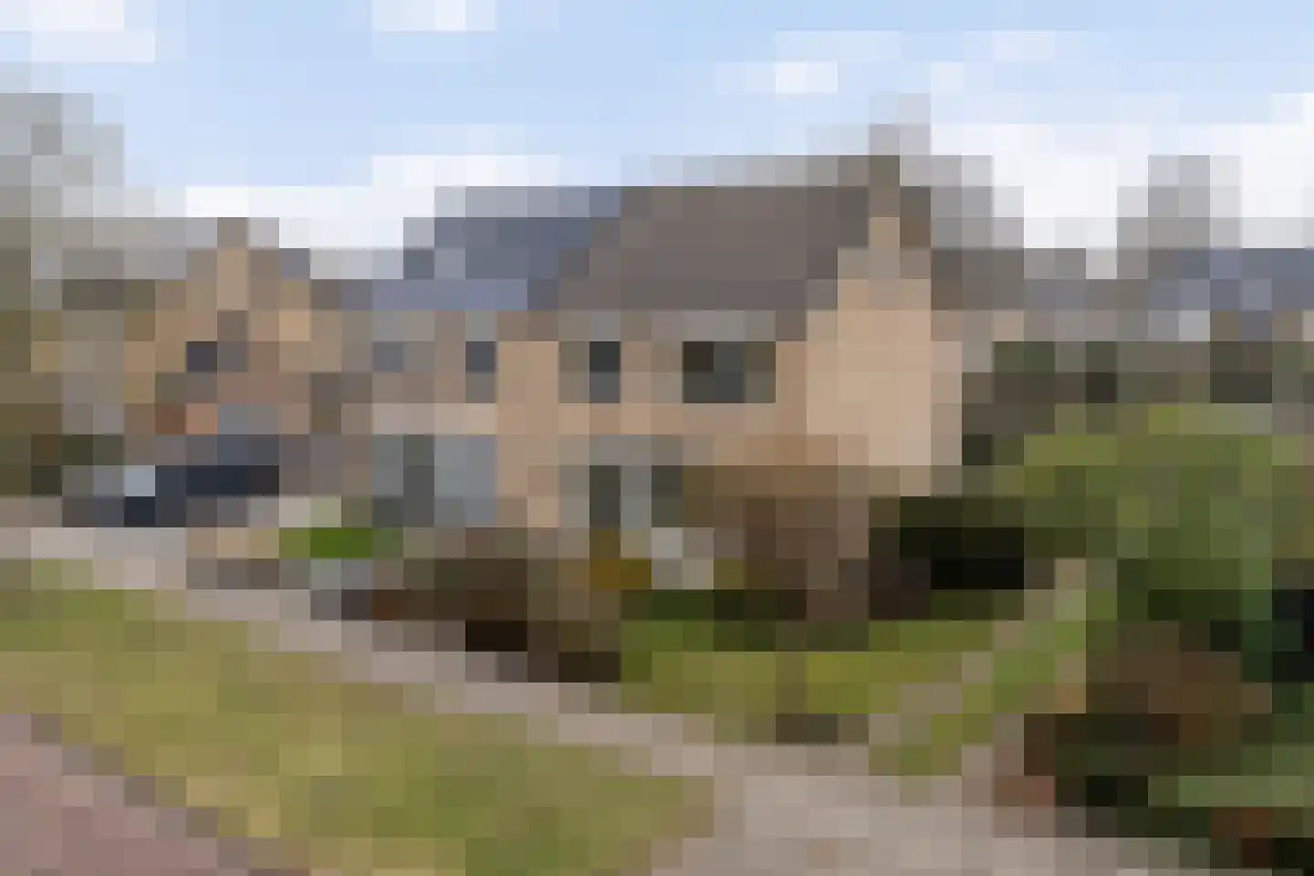 Meeuwenlaan 48 en Sneek
