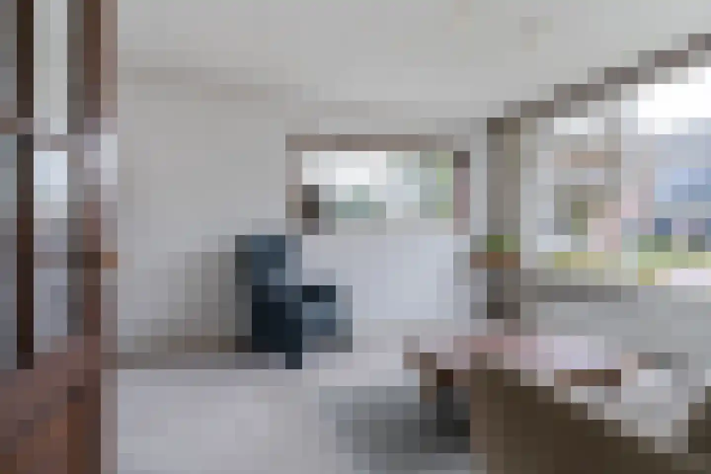 Meeuwenlaan 48 Sneek thumbnail 10