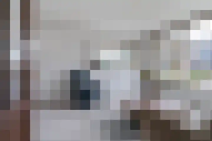 Meeuwenlaan 48 Sneek thumbnail 10