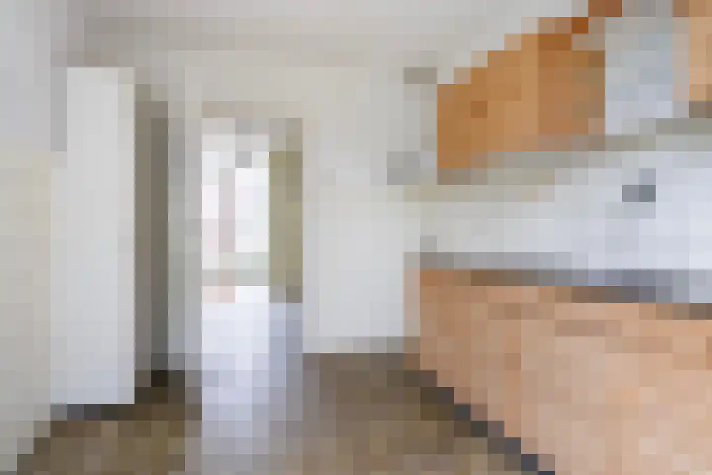 Meeuwenlaan 48 Sneek thumbnail 12