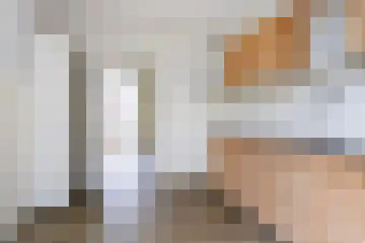 Meeuwenlaan 48 Sneek thumbnail 12