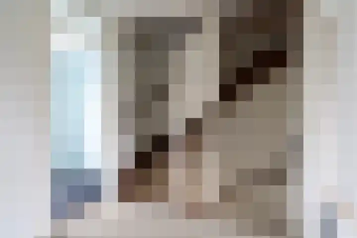 Meeuwenlaan 48 Sneek thumbnail 13