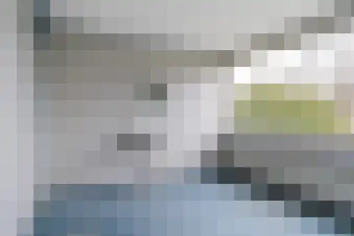 Meeuwenlaan 48 Sneek thumbnail 15