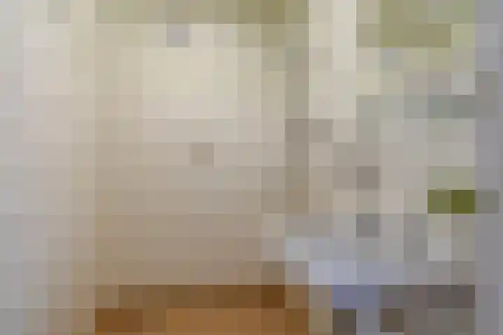 Meeuwenlaan 48 Sneek thumbnail 16