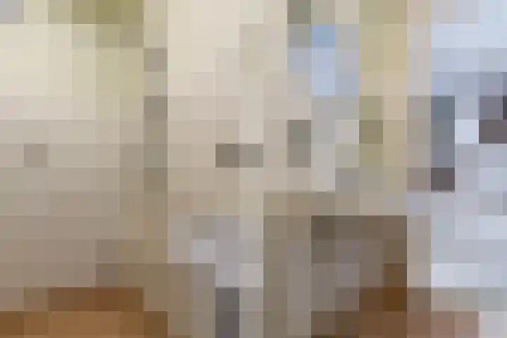 Meeuwenlaan 48 Sneek thumbnail 17