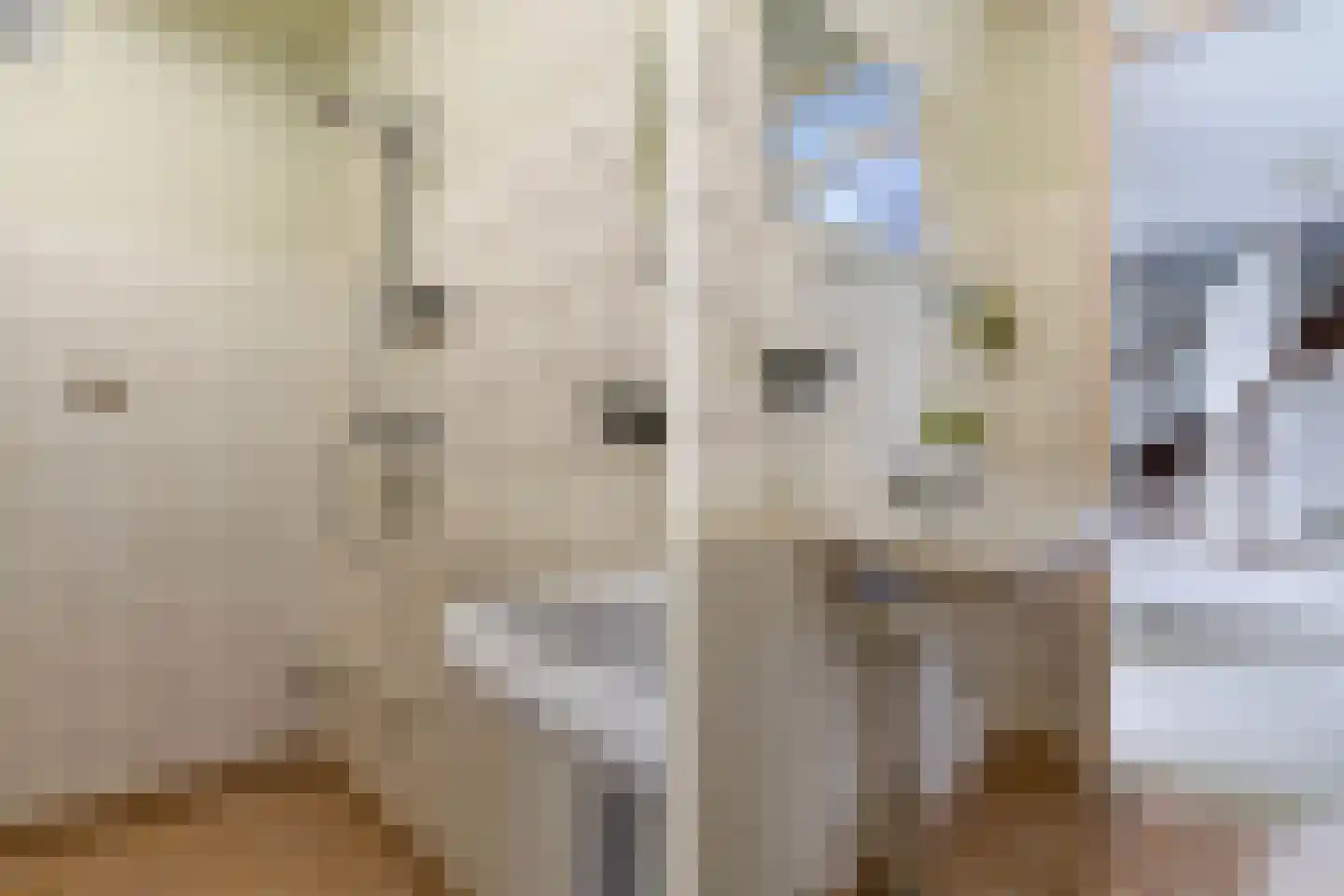 Meeuwenlaan 48 Sneek thumbnail 17