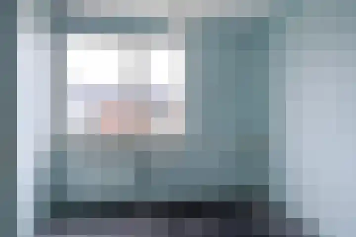 Meeuwenlaan 48 Sneek thumbnail 19