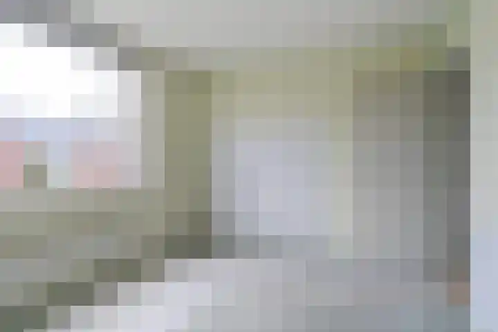 Meeuwenlaan 48 Sneek thumbnail 21