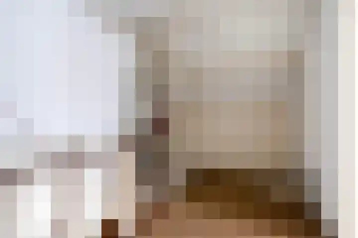 Meeuwenlaan 48 Sneek thumbnail 22