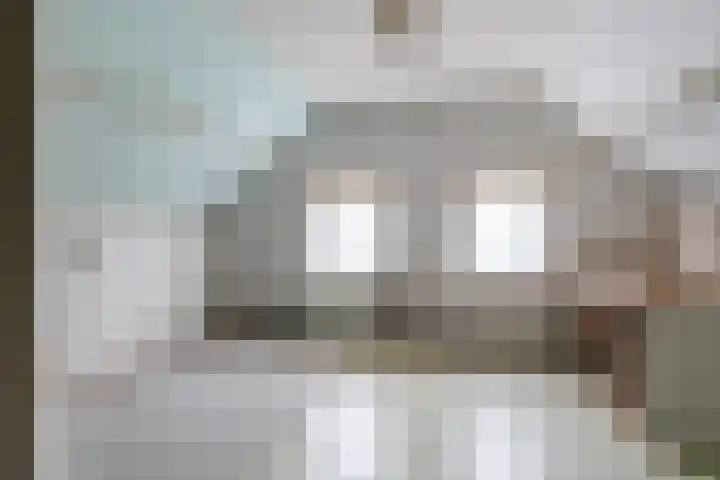 Meeuwenlaan 48 Sneek thumbnail 23