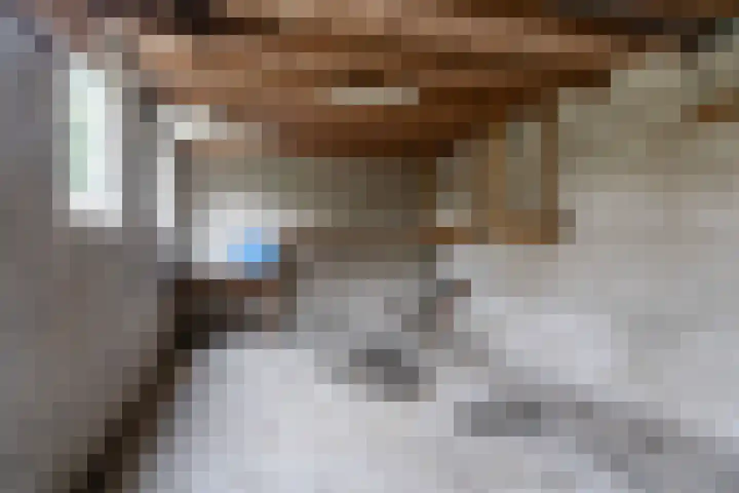 Meeuwenlaan 48 Sneek thumbnail 24
