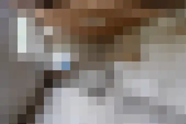Meeuwenlaan 48 Sneek thumbnail 24