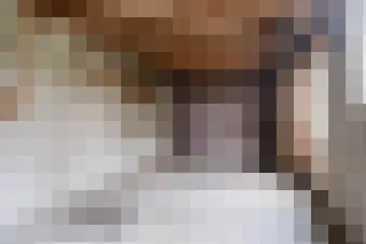 Meeuwenlaan 48 Sneek thumbnail 25