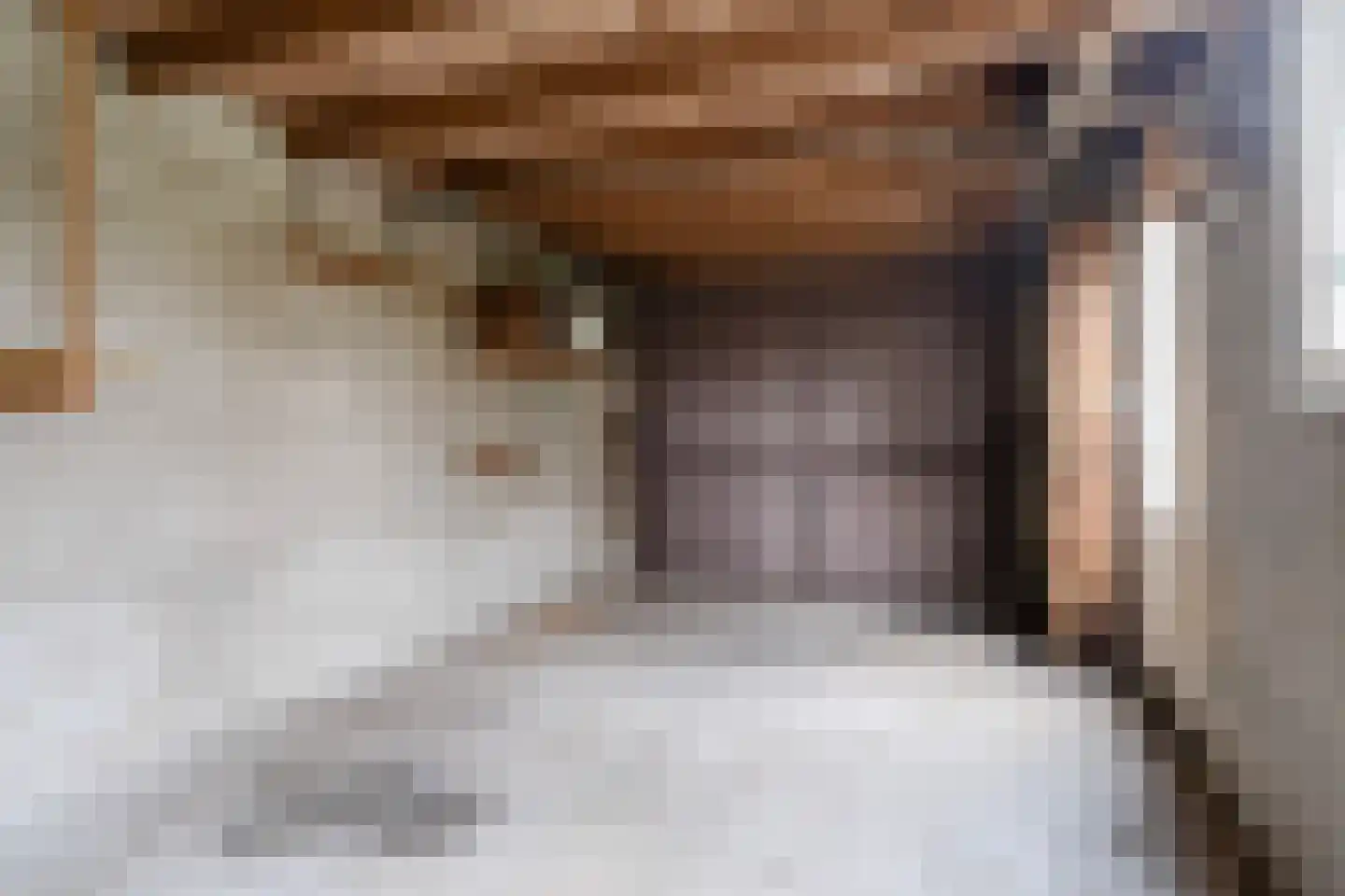 Meeuwenlaan 48 Sneek thumbnail 25