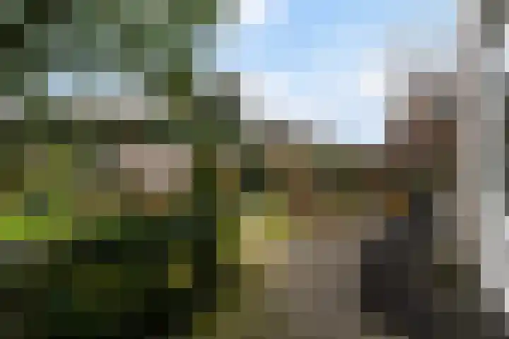 Meeuwenlaan 48 Sneek thumbnail 26