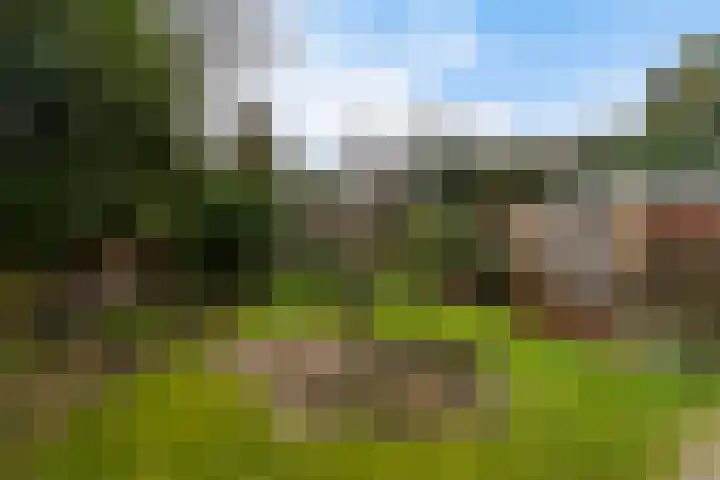 Meeuwenlaan 48 Sneek thumbnail 27