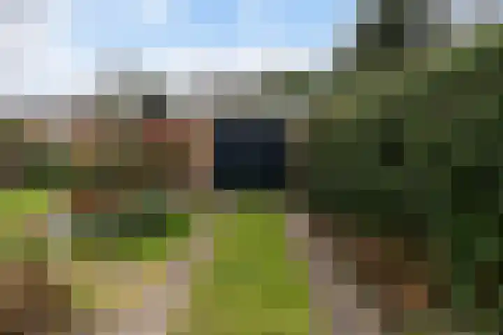 Meeuwenlaan 48 Sneek thumbnail 28