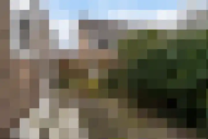 Meeuwenlaan 48 Sneek thumbnail 29