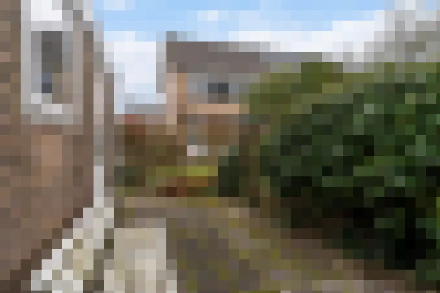 Meeuwenlaan 48 Sneek thumbnail 29