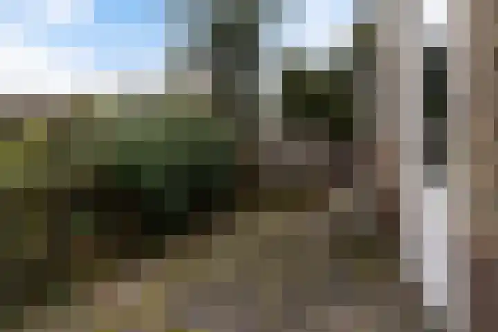 Meeuwenlaan 48 Sneek thumbnail 30