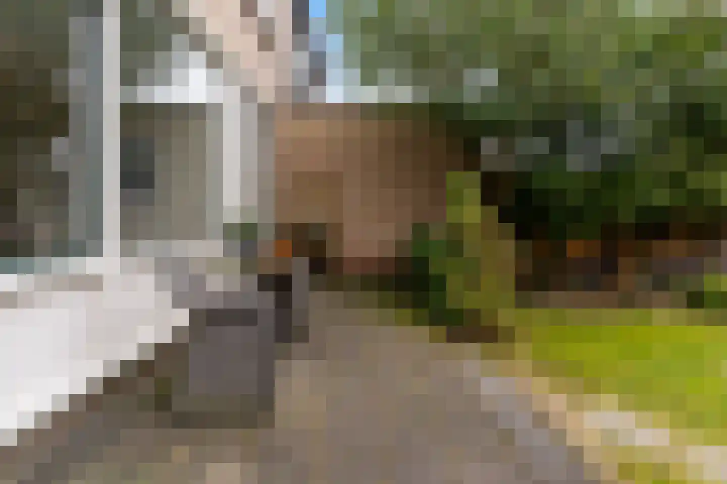 Meeuwenlaan 48 Sneek thumbnail 31