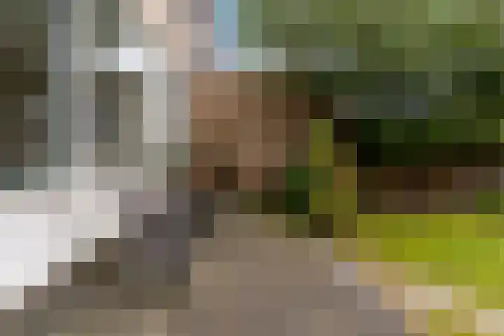 Meeuwenlaan 48 Sneek thumbnail 31