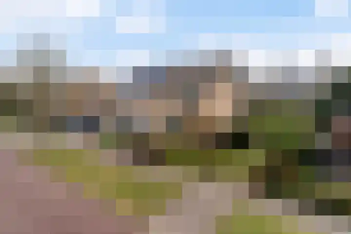 Meeuwenlaan 48 Sneek thumbnail 32
