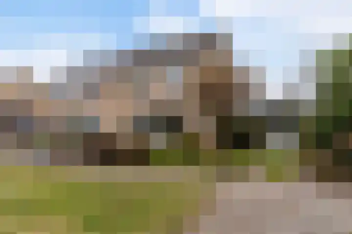 Meeuwenlaan 48 Sneek thumbnail 33