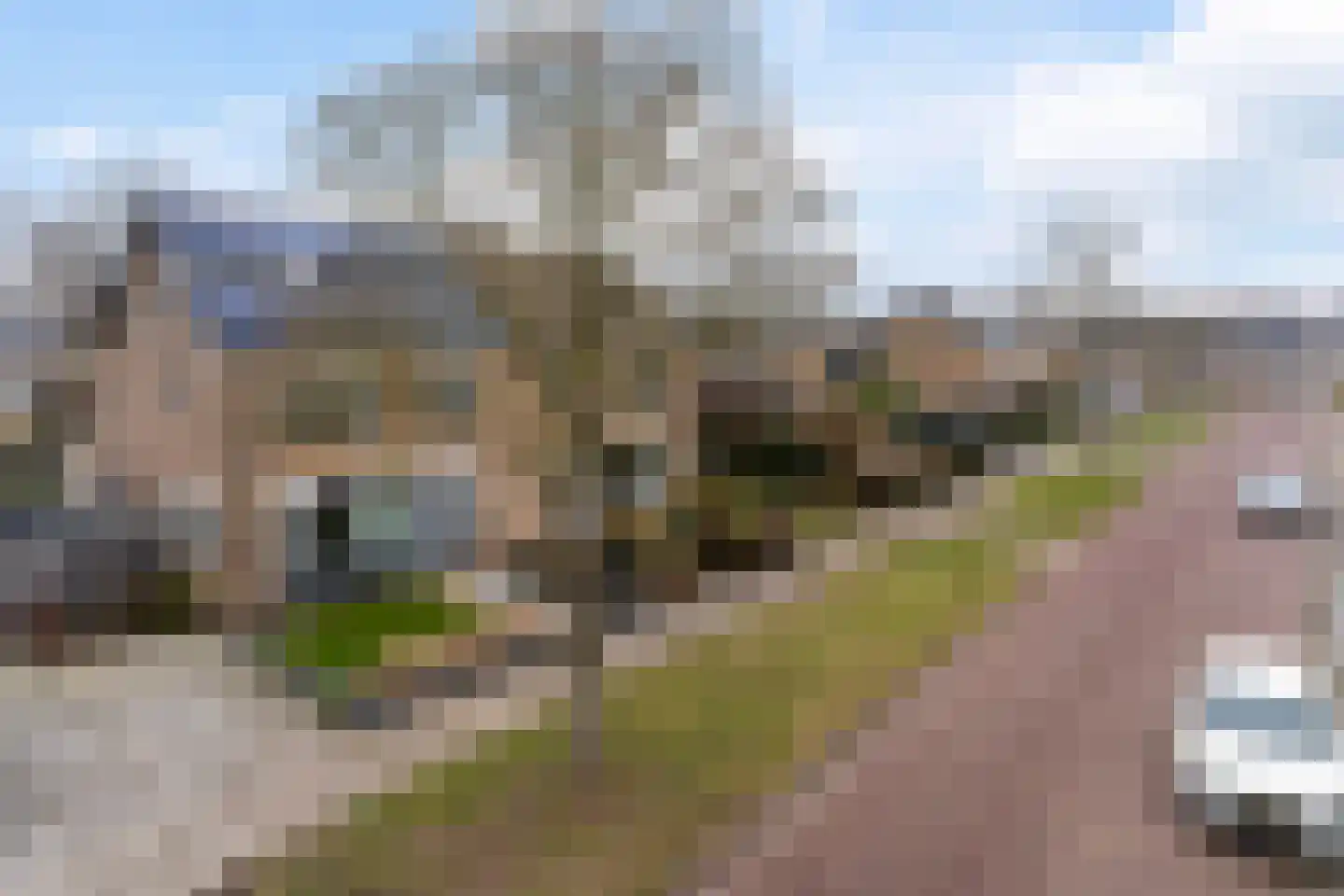Meeuwenlaan 48 Sneek thumbnail 35