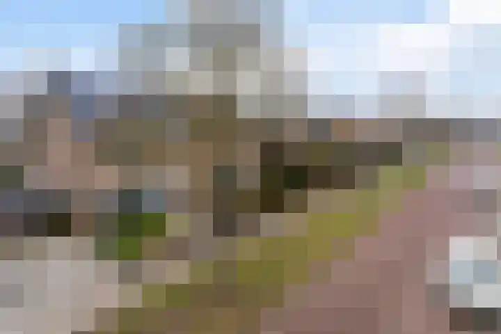 Meeuwenlaan 48 Sneek thumbnail 35