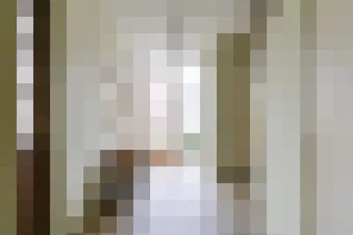 Meeuwenlaan 48 Sneek thumbnail 4