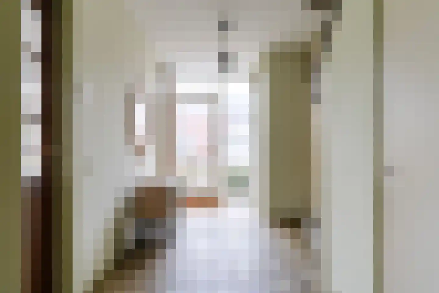 Meeuwenlaan 48 Sneek thumbnail 4