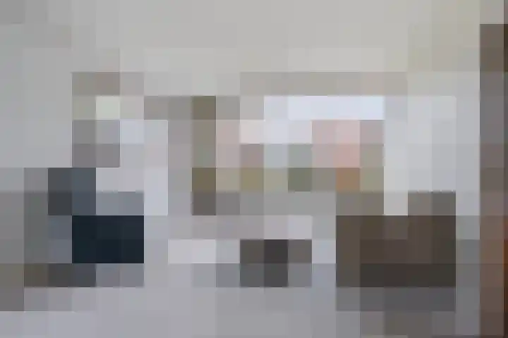 Meeuwenlaan 48 Sneek thumbnail 6