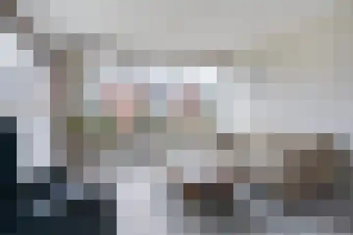 Meeuwenlaan 48 Sneek thumbnail 7