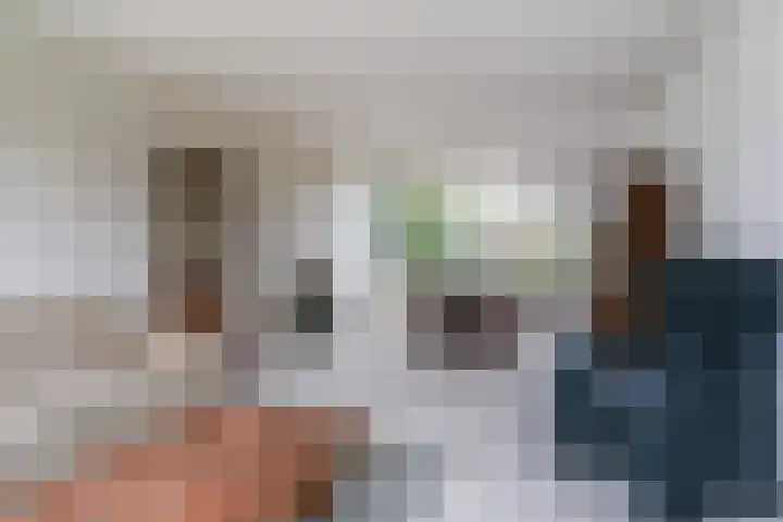 Meeuwenlaan 48 Sneek thumbnail 8